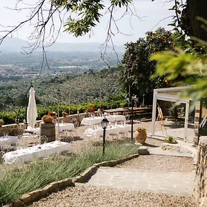  Vakantieboerderij I Millepini Italië
